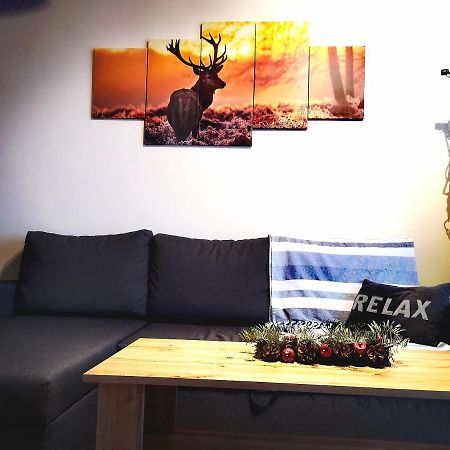 Apartament Lenka Karkonosze Daire Jelenia Gora Dış mekan fotoğraf